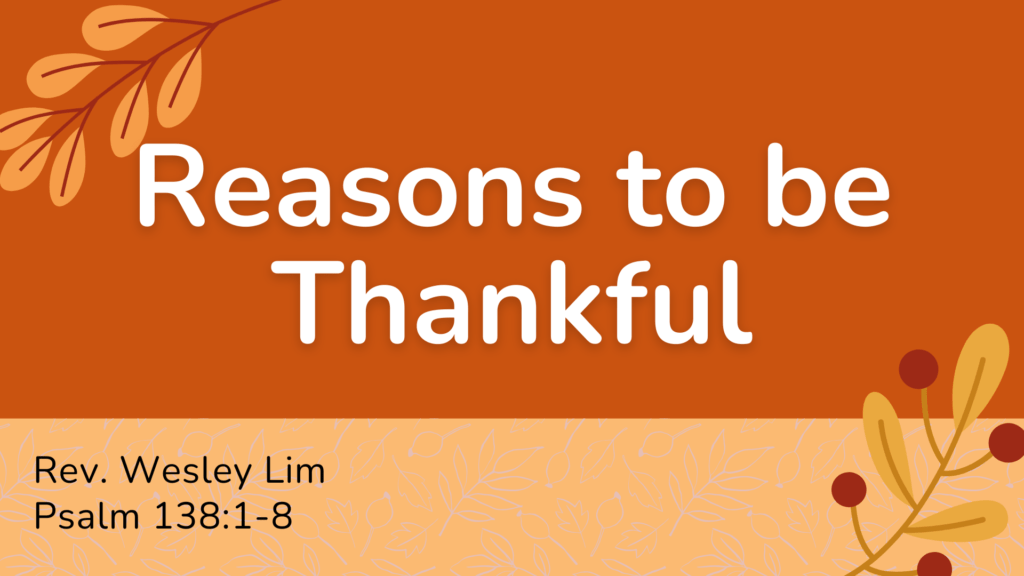 Reasons to Be Thankful