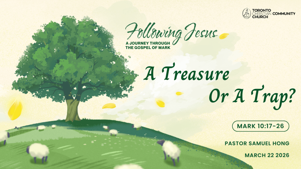 A Treasure Or A Trap?